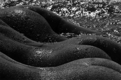 Les Géantes  photo by Lucien Clergue, Camargue 1978