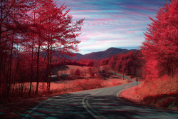 c-h-a-o-s:  Silvers Welch Road View (IRG) (by oldoinyo) 