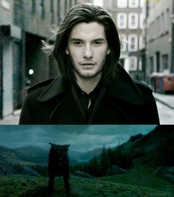  Sirius Black - Ben Barnes  