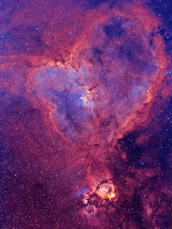  IC 1805: The Heart Distance: 7,500 Light Years Located in the