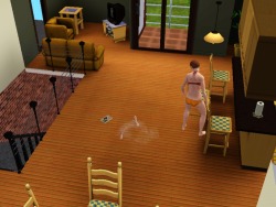 simsgonewrong:  He went swimming, then swam all over the house,