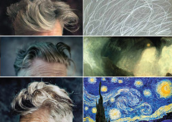 theliltingwall:  A study of David Lynch’s hair compared to