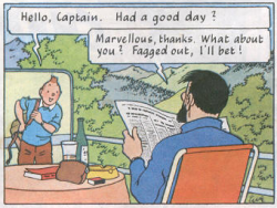 Then Tintin and the Captain fagged each other out till the sun
