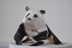 blakehenderson:  contrarycat:  Anna Wili Highfield  Panda for