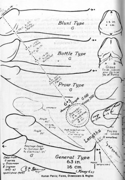 It’s like we’re looking at old patents for cocks.