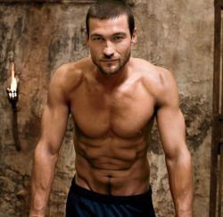  Andy Whitfield 1974-2011   RIP 