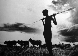 Samburu cattle herder at sunset, Kenya photo by Mirella Ricciardi;