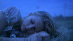  The Virgin Suicides 