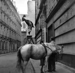 Edouard Boubat - La chèvre acrobate, Paris, rue Servandoni,