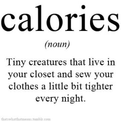 thatswhatthatmeans:  Calories (noun)  - Tiny creatures that