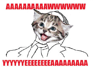 kittiesntitties.tumblr.com/post/10258226319/