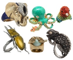 shujinkakusama:  Wannit. Chameleon and octopus and beetle rings