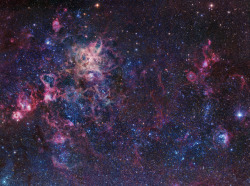 boyastronomer:  A mosaic of the Tarantula Nebula region in the