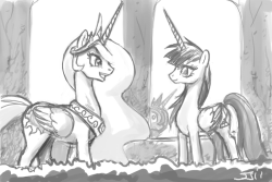 Someone linked me to the alicorn that L. Faust drew. I don’t