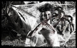 darkkaart:   Itsy Spooksy Spiderby ~Anathema-Photography  