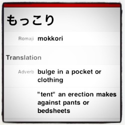 atomicboyx:  My new favorite japanese word “Mokkori” lol!!!