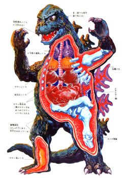 drawnblog:  (via MONSTER BRAINS: Hedorah and Godzilla - Anatomical