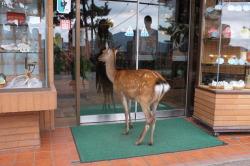  WHY ARE YOU CLOSED TELL US WHY YOU’RE CLOSED TELL US WHY YOU’RE