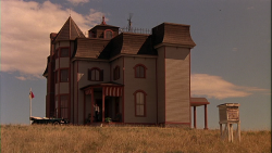 suicideblonde:  Terrence Malick’s Days of Heaven (1978) &