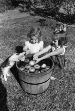  Bobbing for apples with a kitty friend - 1935 