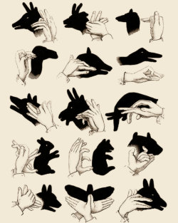  Antique Shadow Puppets 