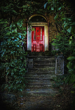 saltboardandrustynails:  Dark Steps to the Red Door (by sbox)