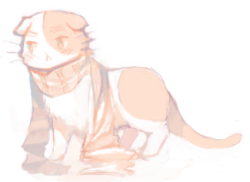 moedere:  some cute nekotalia in a scarf yup 