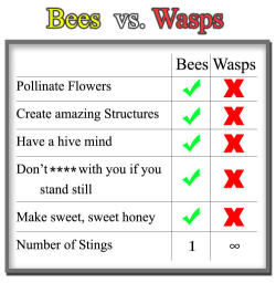 funny-pictures-uk:  Bees vs Wasps 