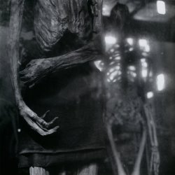 algor-m-o-r-t-i-s:  Arthur Tress - Mummified Woman (1965)  