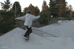 die with skate
