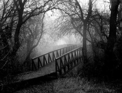 too weak to escape my storm of sorrows