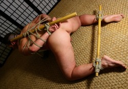 maletoywanted:  Japanese toy. 