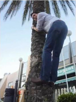    James climbing a tree..Nice view xD  shawty back dat ass up