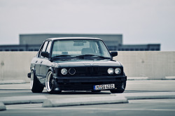 the80sareforever:  lowlargeloud:  badass e28  Hey buddy :) 