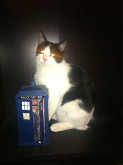 I can haz time vortex?   I&rsquo;m having fun with Time War&hellip;