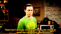 Quarterlife Crisis