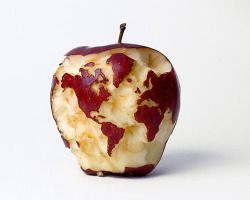 coloredmondays:  apple world  