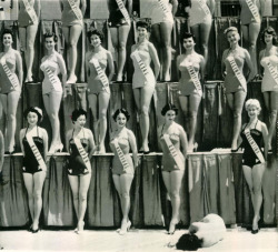 vintagegal:  Miss Universe Pageant 1954- Miss New Zealand passed