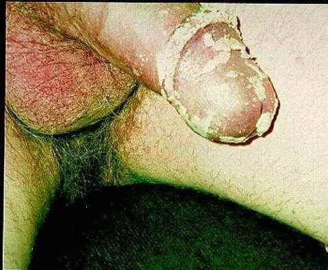 After my mom left my dad, he quickly became a pig who gives a damn about the fact that he is unshaved and smells. He always jerks off to porn after work. When he comes home from the garage, he needs to release the pressure, he say. The sperm goes right