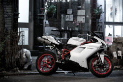 nemoi:  Ducati 848 Evo (via angad84)