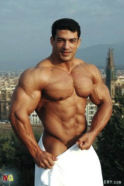 sperminherman:  Tarek Elsetouhi 
