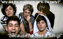 normalonedirectionfan:  zaynslaugh:  for louis’ adorable laugh