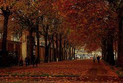 allthingseurope:  Autumn in Montparnasse, Paris (by nanda_uforians)