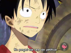 “Eres el nakama del futuro Rey Pirata”