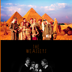  HARRY POTTER ALPHABET ϟ  → W of (the) Weasleys“All the