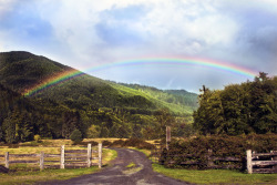 Olympic Rainbow - From the day we went to Olympic National Forest/