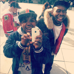 dolphinlife:  Dolphin & Wolf 