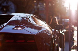 automotivated:  What a bull! (by claeys jelle  www.gasolinephoto.be)