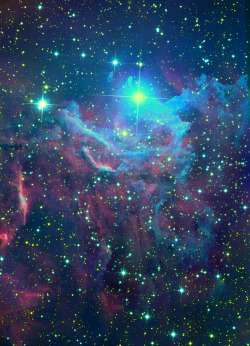 weareallstarstuff:  Flaming Star Nebula 