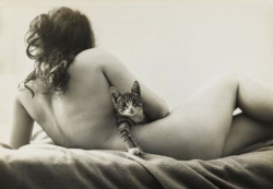 kvetchlandia:  Robert Frank     Nude with Cat     Undated